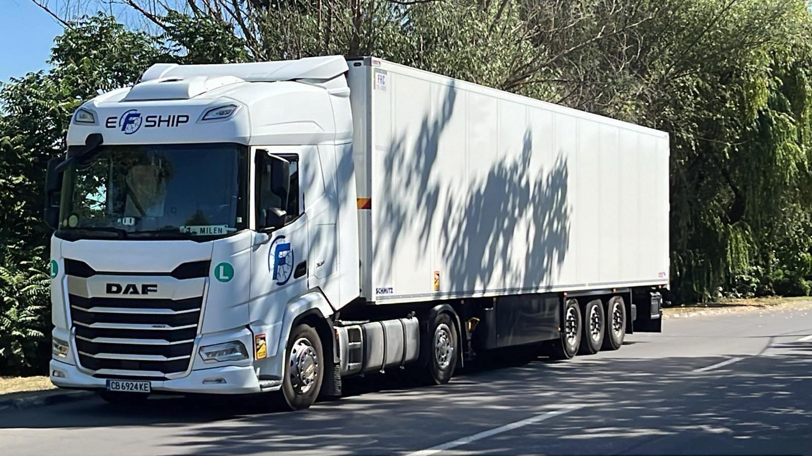 EFShip DAF камион